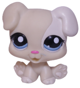 #1706 Puppy